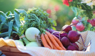 OPINION! Spiritual Wellness is as Important as Physical Wellbeing