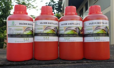 Meet Makerere Alumnus Who is Producing Ulcers Medicine