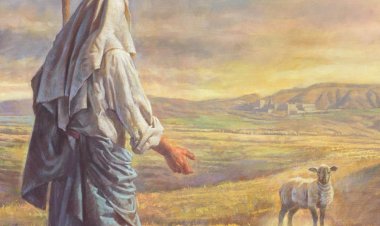 Are you the church, or are you the lost sheep?