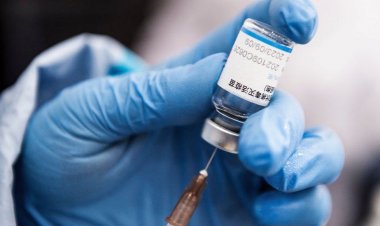 Vaccination; Why The Rush?