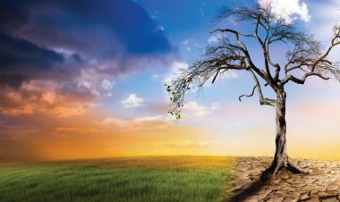 The Climate Change Agenda: An Assault on Agriculture and Freedom