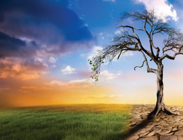 The Climate Change Agenda: An Assault on Agriculture and Freedom